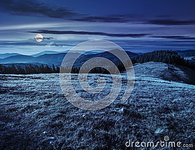 Meadow on a hillside near forest at night Stock Photo
