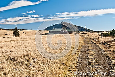 Meadow with isolated tree, Lucni bouda chalet and Snezka hill in Krkonose mountains Stock Photo