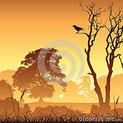 Meadow Landscape Vector Illustration