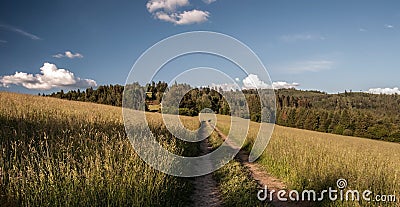Meadow with pathway, hill on the background and blue sky with clouds above Oscadnica village in Slovakia Stock Photo