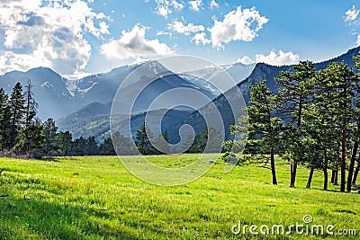 Meadow in Rocky Mountain National Park Stock Photo
