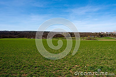 Meadow in the summer green field landscape country Stock Photo