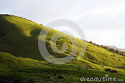 Meadow at sunrise Stock Photo