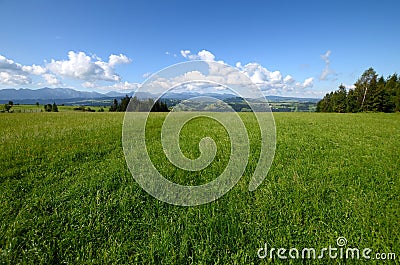 Meadow in the Tatra Mountains Stock Photo