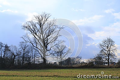 Meadow with trees with gathering storm clouds near Sandweier Baden-Baden in Black Forest Stock Photo