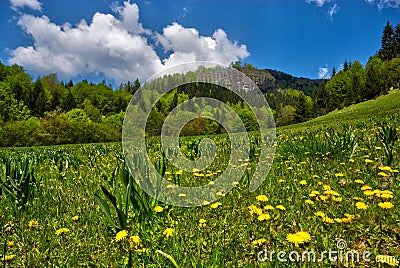 Meadow under Janosikova Skala Stock Photo