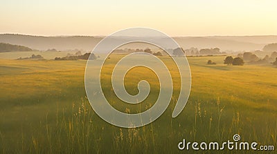 A meadow with wild grasses swaying in the evening breeze Stock Photo