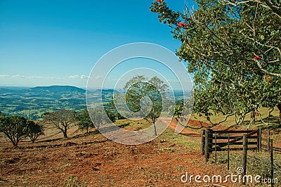 Meadows and trees in a green valley with farm gate Stock Photo