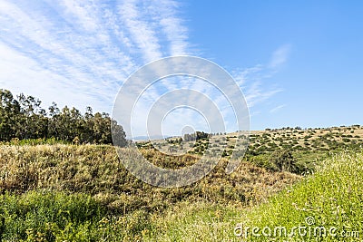 Meadows turning into hills on the Golan Heights in northern Israel Stock Photo