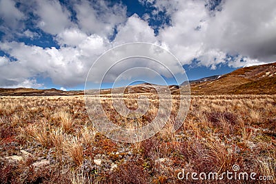 Meager landscape in the Tongariro National Park Stock Photo