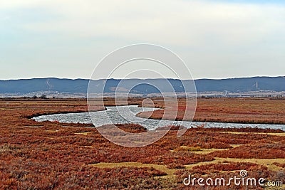 Delta of Kavak, Gallipoli, Turkiye, marshy environments, meandering streams of brackish ponds Stock Photo