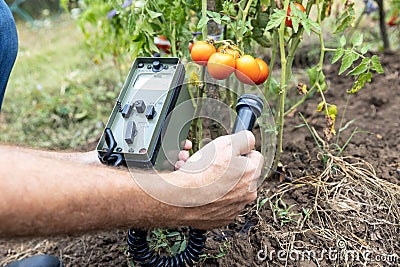 Measurement of radioactivity concentration levels in vegetables after nuclear accident or incident Stock Photo