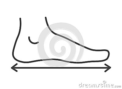 Dimensions and measurements of human feet vector Vector Illustration