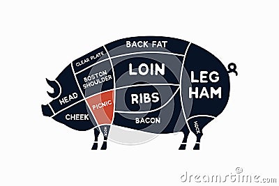 Meat cuts. Diagrams for butcher shop. Scheme of pork. Animal silhouette pork. Vector Illustration