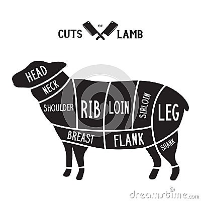Meat cuts - lamb. Diagrams for butcher shop. Scheme of lamb. Animal silhouette lamb. Guide for cutting Cartoon Illustration