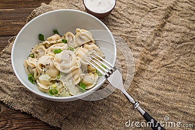 Meat dumplings - russian pelmeni, ravioli with meat on a white plate Stock Photo