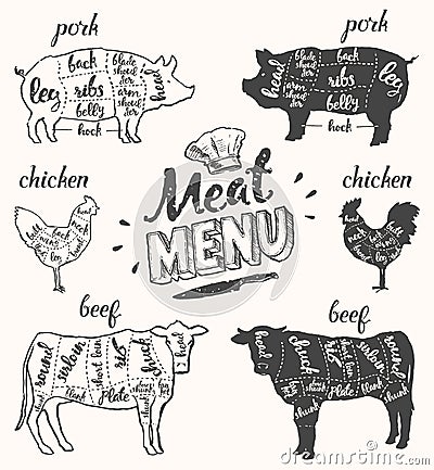 Meat menu pork chicken beef cuts hand drawn vector Vector Illustration