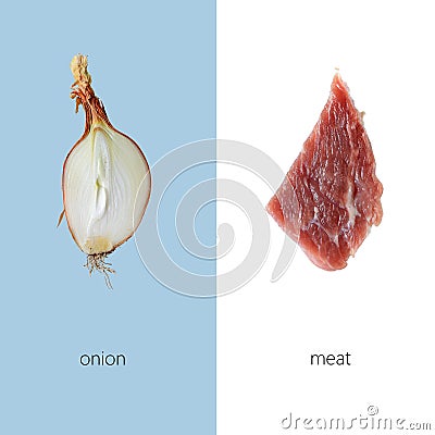 Meat and onion Stock Photo