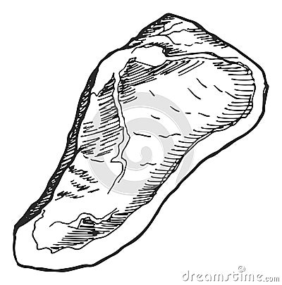 Meat piece. Raw beef cut. Sirloin steak Vector Illustration