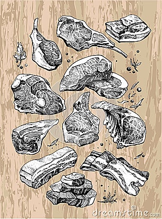 Delicious drawing of different kinds and pieces of meat Vector Illustration