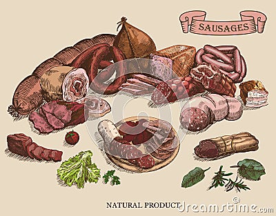 Meat products Vector Illustration
