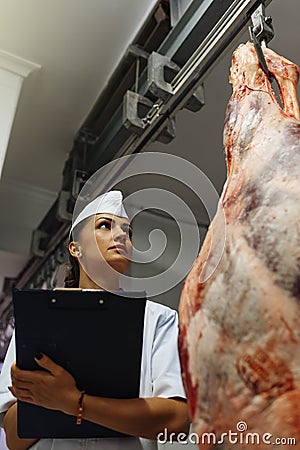 Meat quality control in butchery. Stock Photo