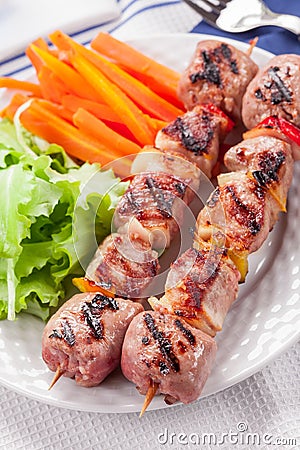 Meat Skewers with Carrots and Salad Stock Photo