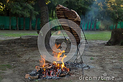 Meat on the spit or asado in the stake. Grill on the coals. Traditional Argentine barbecue Stock Photo
