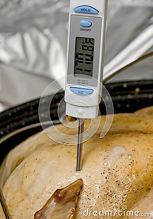 Meat thermometer Stock Photo