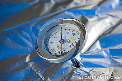 Meat Thermometer Stock Photo