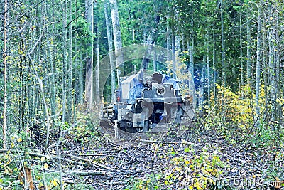 Mechanically driven drill in forest Stock Photo