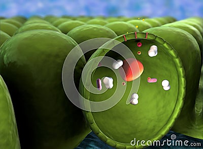 Structure of the molecule Stock Photo