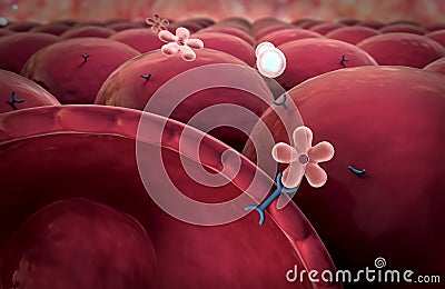 Mechanism of action of insulin Stock Photo