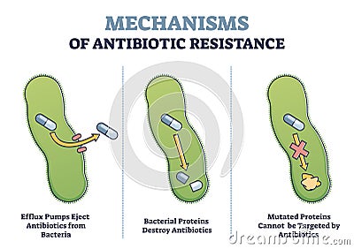 Antibiotic resistance outline diagram, illustrated mechanism in bacteria cell Vector Illustration