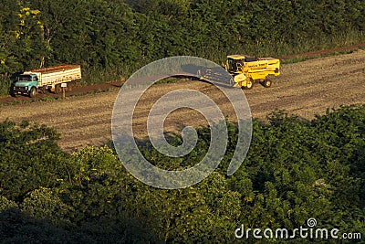 Mechanized soybean harvest Editorial Stock Photo
