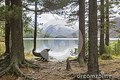 Medial Multinskiye lake. Altai mountains autumn landscape, Russia. Stock Photo