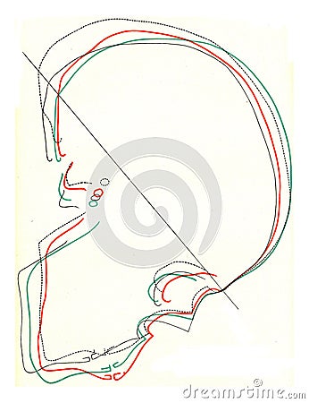 Median curves of skulls of four modern races, vintage engraving Cartoon Illustration