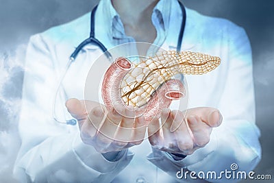 The medic shows the pancreas of a person Stock Photo
