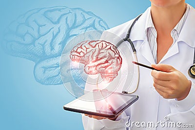 Medic shows a sketch of the brain . Stock Photo