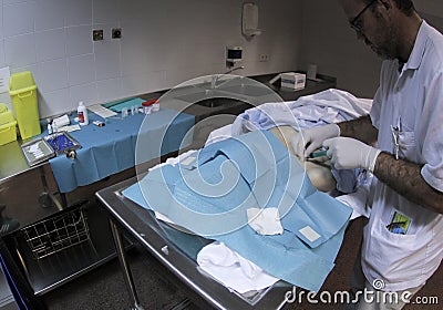 Medic working at morgue 006 Editorial Stock Photo