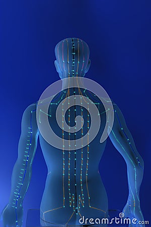 Medical acupuncture model of human Stock Photo