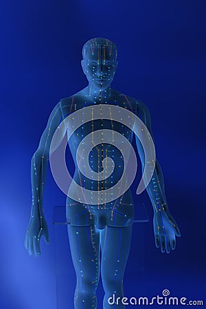 Medical acupuncture model of human Stock Photo