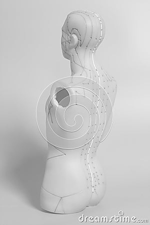 Medical acupuncture model of human Stock Photo