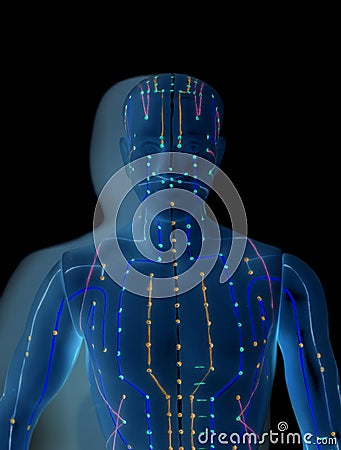 Medical acupuncture model of human Stock Photo