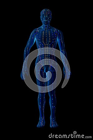 Medical acupuncture model of human Stock Photo