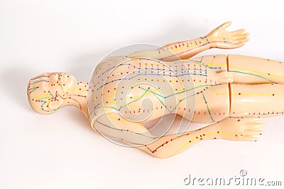 Medical acupuncture model of human Stock Photo