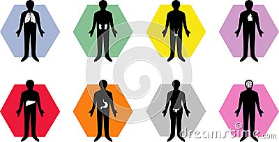 Medical body organ icons Vector Illustration