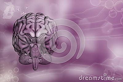 Medical 3D illustration - human brain, nervous research concept - highly detailed modern texture or background Cartoon Illustration