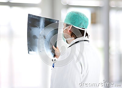 Medical doctor analysing x-ray image handheld Stock Photo