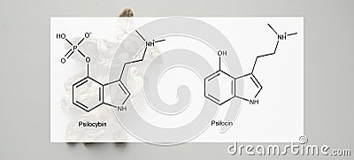 .the medical effects of psilocybin and psilocin on the psychological and physical health of people. Legalization of the Stock Photo